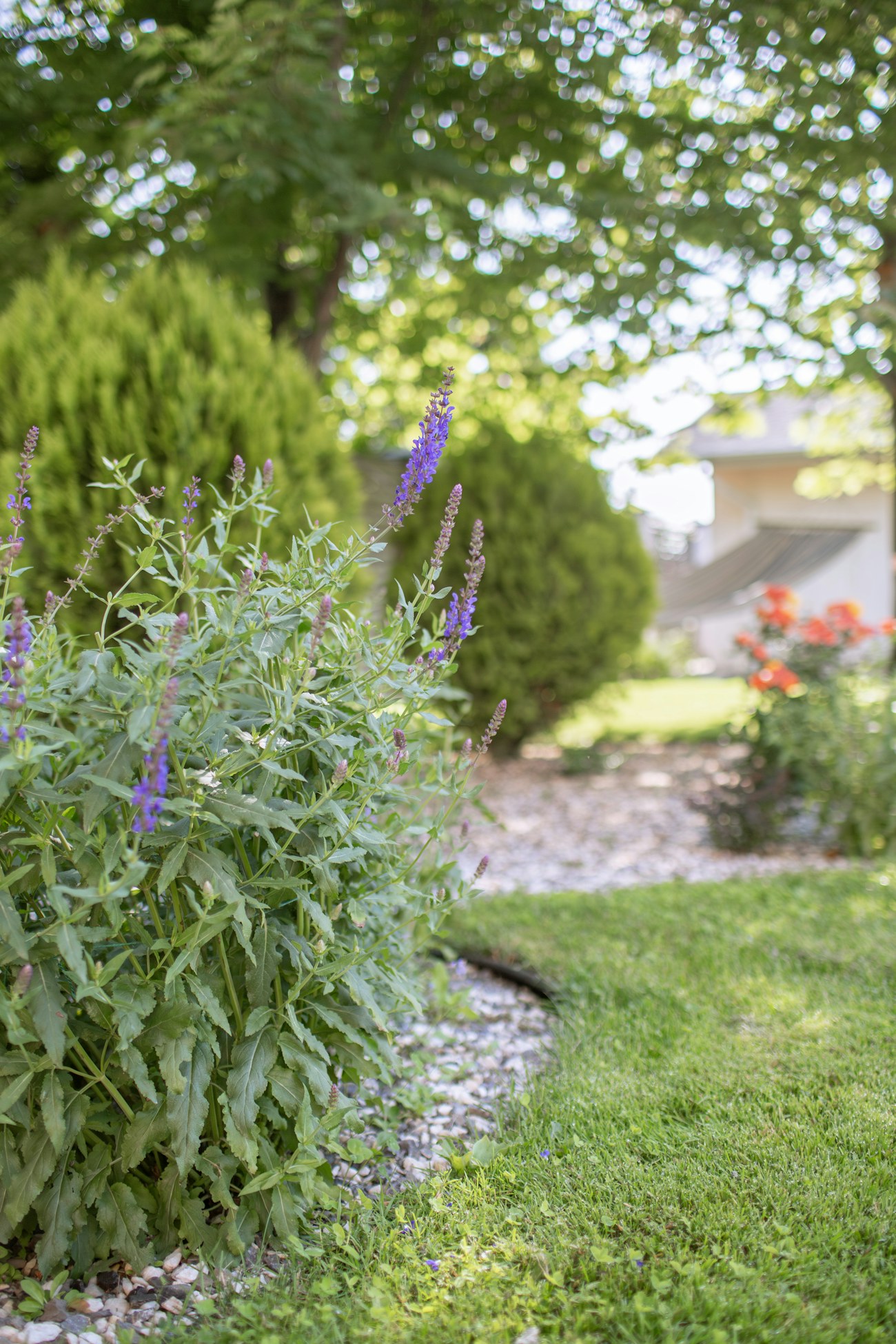 Landscaping and garden design